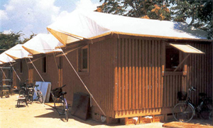 shigeru shigeru