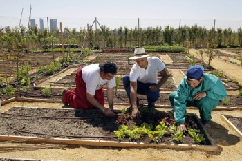 EL CAMPO RECONQUISTA LA CIUDAD stepienybarno