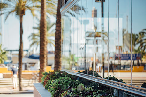 Proyecto en The Organic Café en Fuengirola (Málaga).